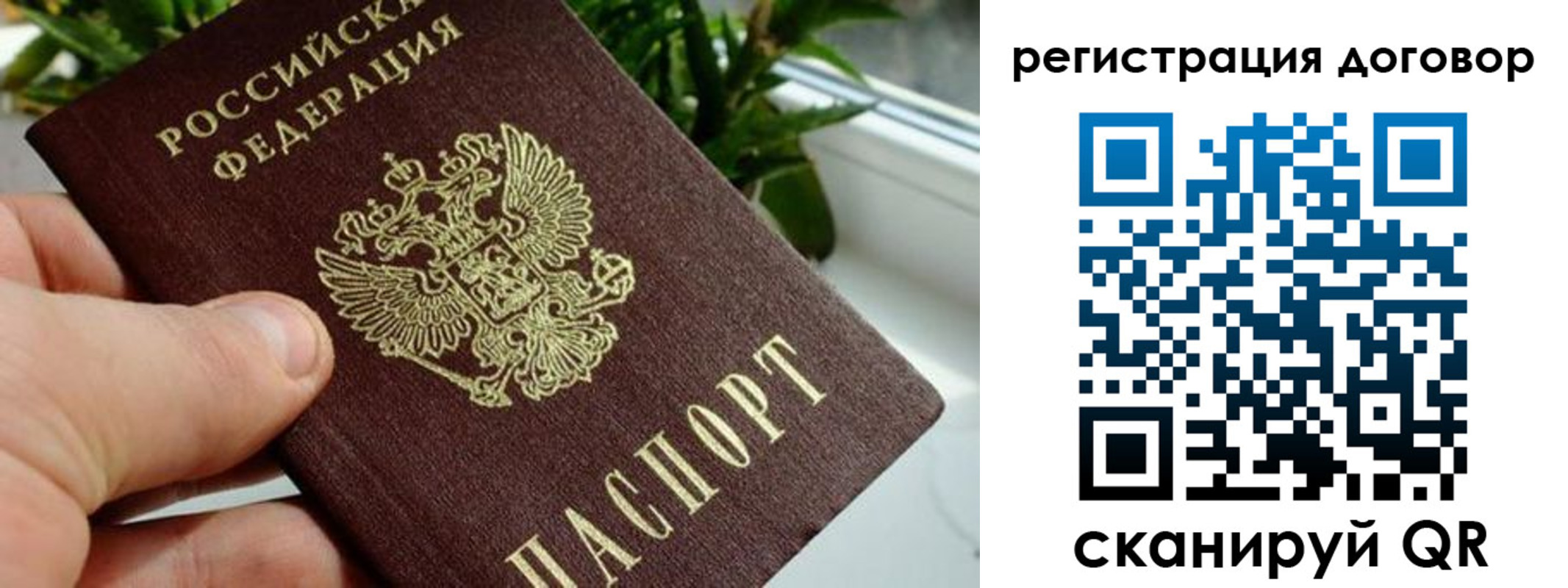 прописка ребенка в Пушкино